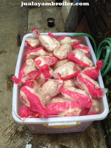 Jual Ayam Broiler Kebon Pala Jakarta Timur