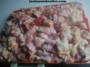 Jual Ayam Broiler Cakung Jakarta Timur