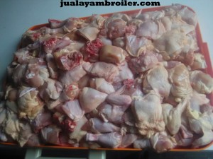 Jual Ayam Broiler Pal Meriam Jakarta Timur