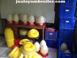Jual Ayam Broiler Sentul Selatan Bogor