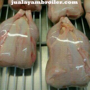 Jual Ayam Broiler Tebet Jakarta Selatan