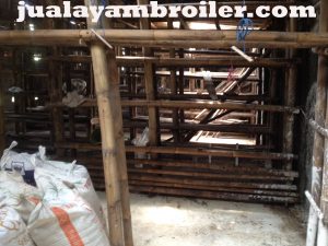 Jual Ayam Broiler di Pondok Kopi Jakarta Timur