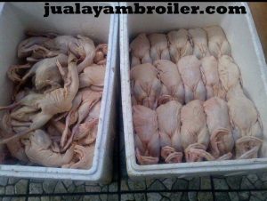 Jual Ayam Karkas di Bogor 