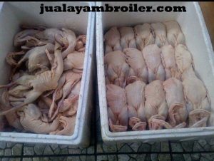 Jual Ayam Karkas di Kebon Kacang Jakarta Pusat